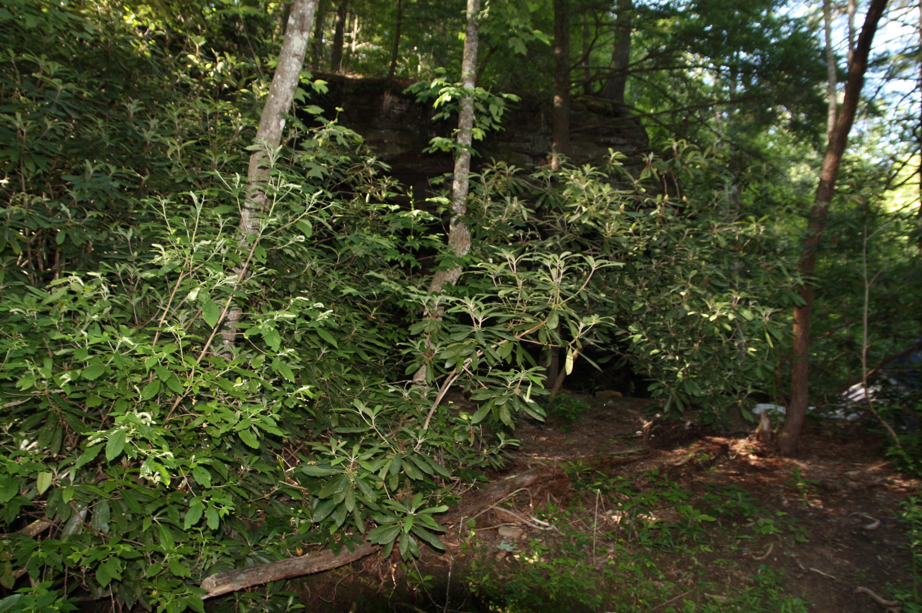 4261 Standing Rock Road Jamestown, TN 38556 - Photo 35 of 40 IMG_8669