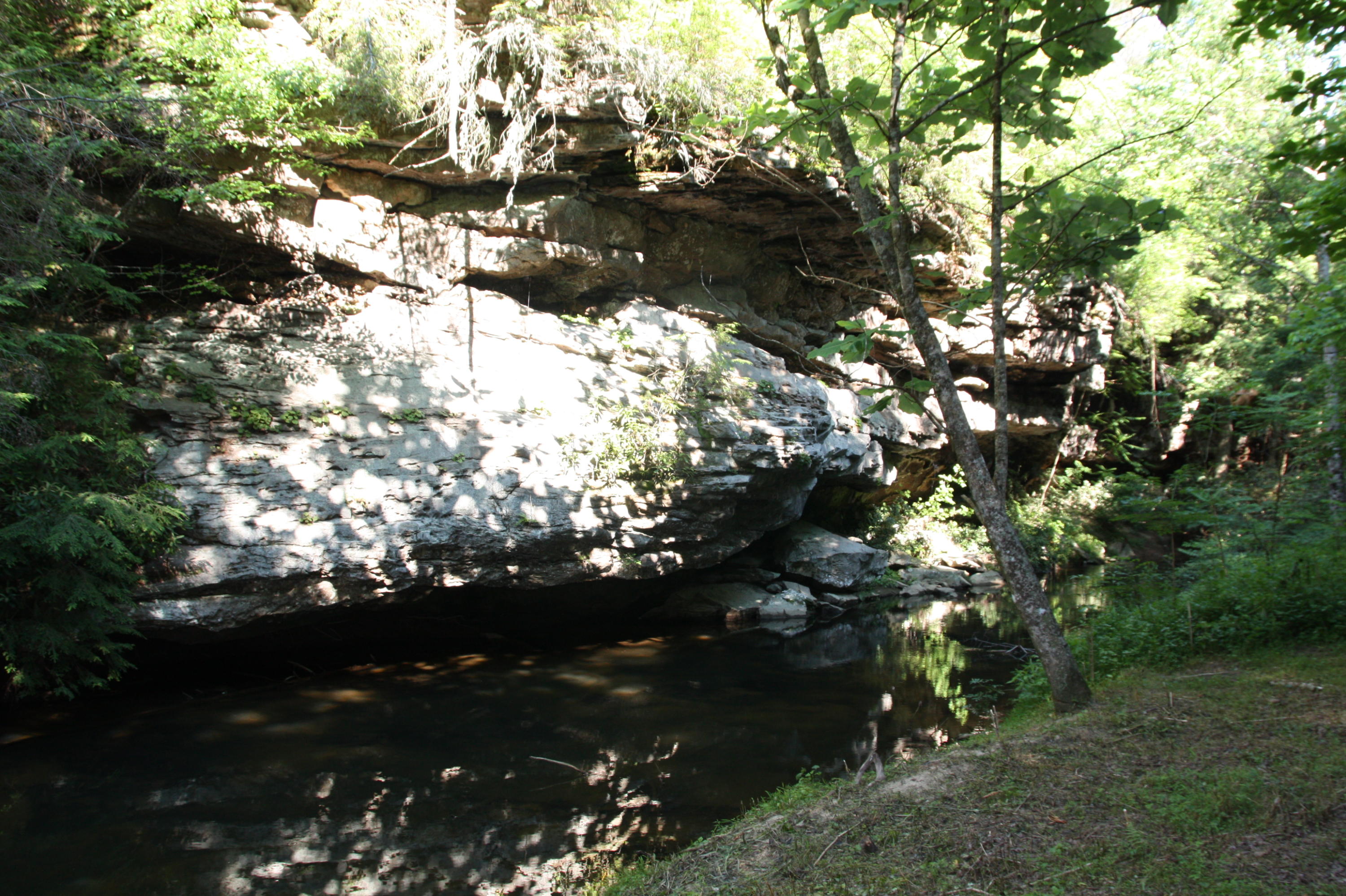 4261 Standing Rock Road Jamestown, TN 38556 - Photo 37 of 40 IMG_8664