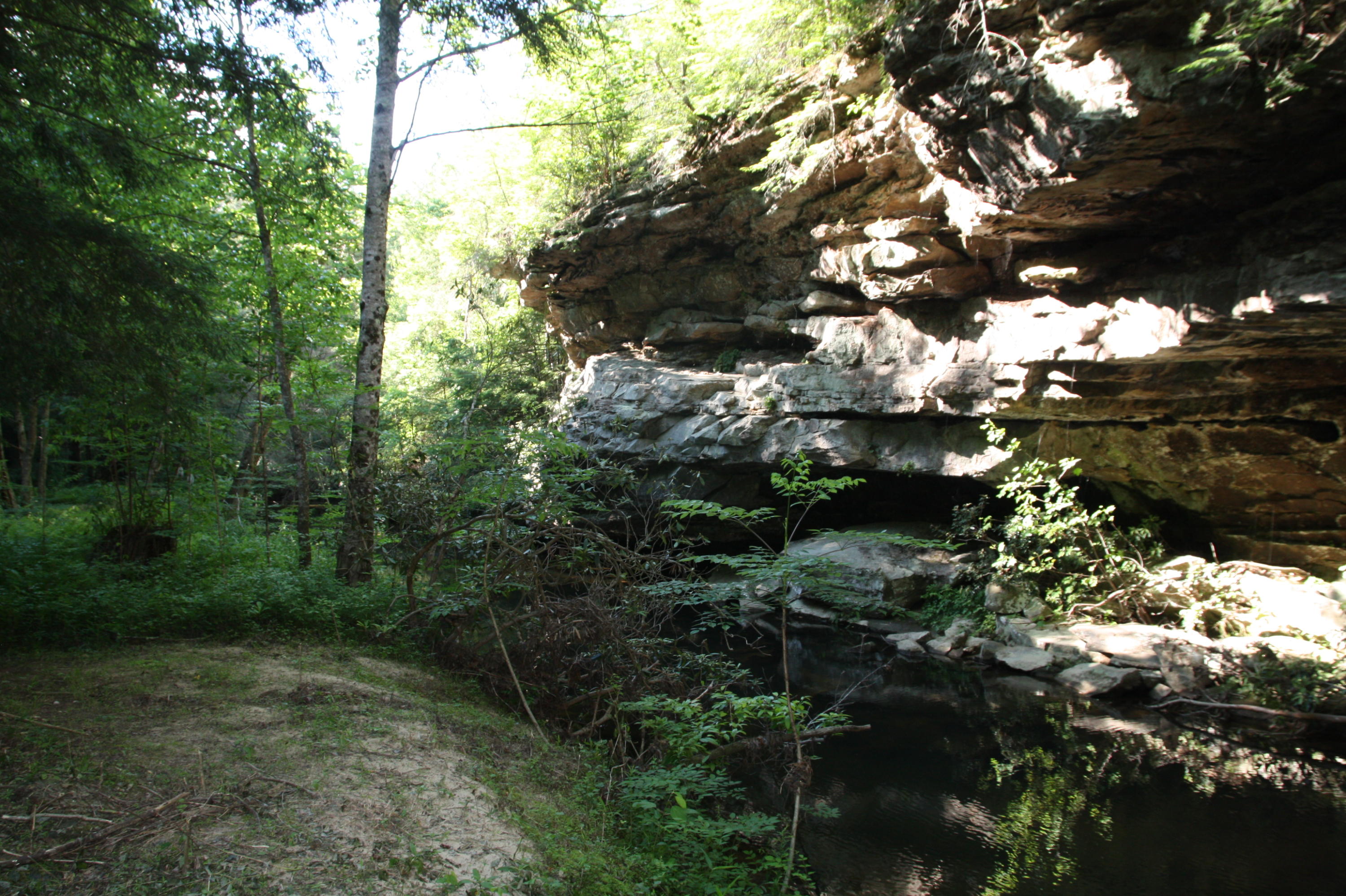 4261 Standing Rock Road Jamestown, TN 38556 - Photo 38 of 40 IMG_8663