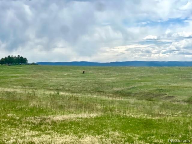 11977 Haskell Creek Road Larkspur, CO 80118 - Photo 29 of 29