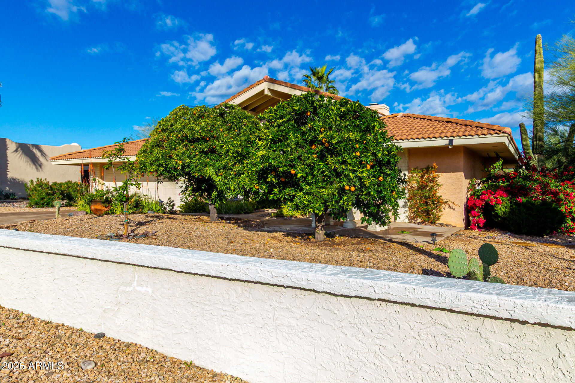 18448 East Paseo Verde Drive Rio Verde, AZ 85263 - Photo 6 of 48 MATURE LANDSCAPING