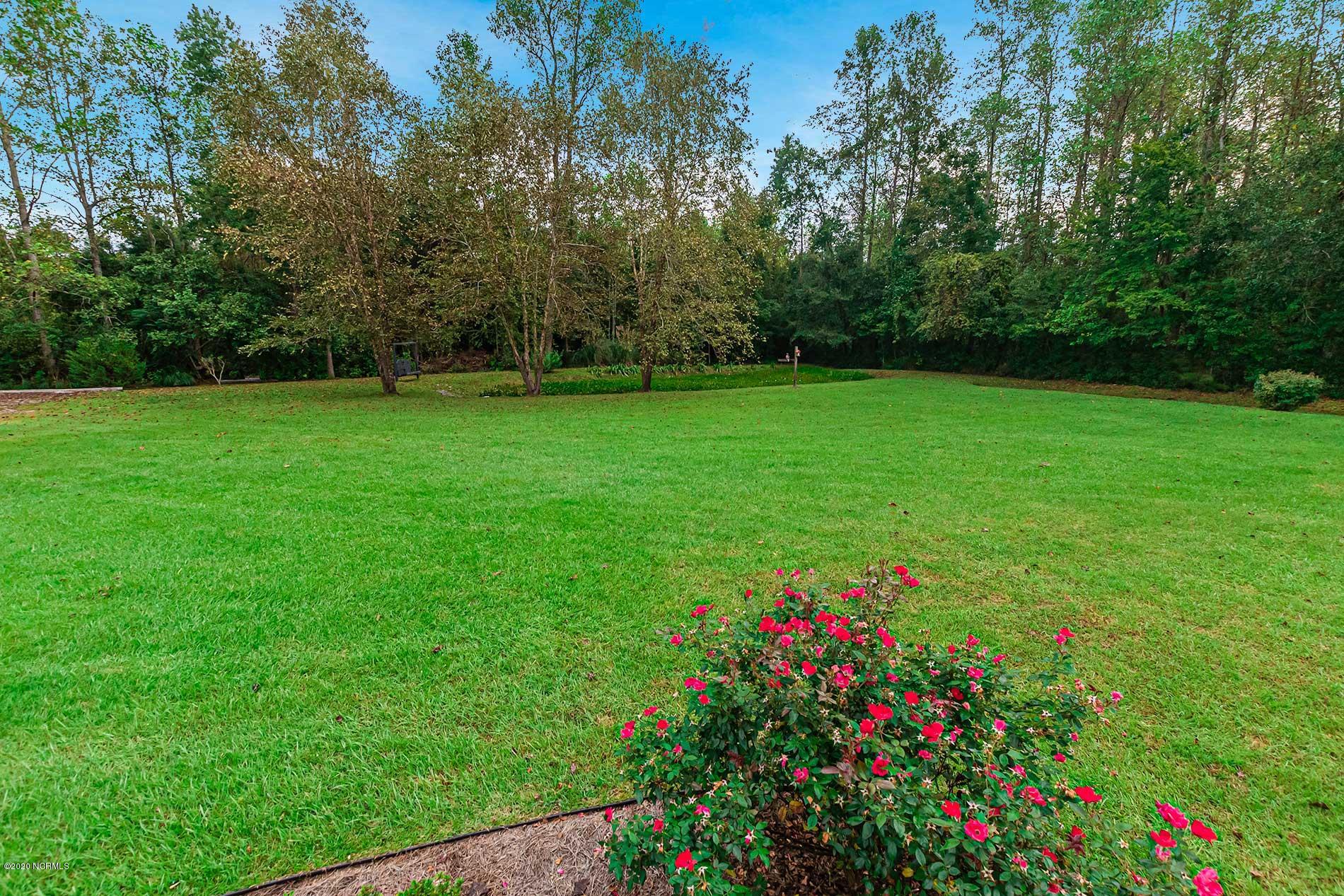 289 Lester Watts Road Tabor City, NC 28463 - Photo 19 of 29 Spacious Backyard