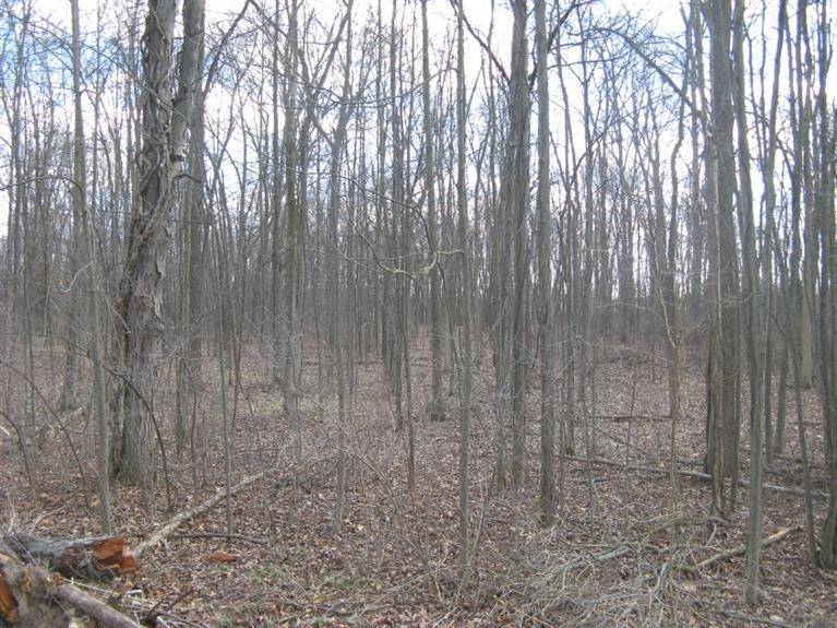 0 Harr Road Grass Lake, MI 49240 - Photo 5 of 6 Photo 5