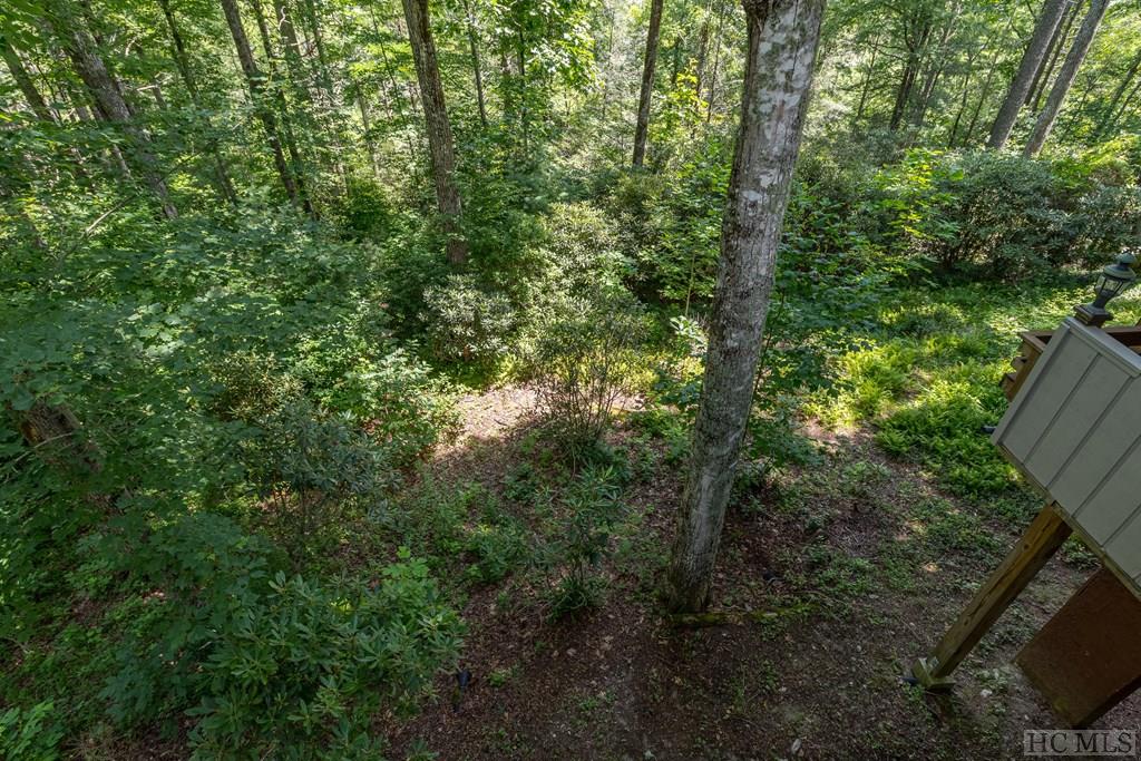 466 Wade Road Cashiers, NC 28717 - Photo 55 of 69 Gallery Image 55