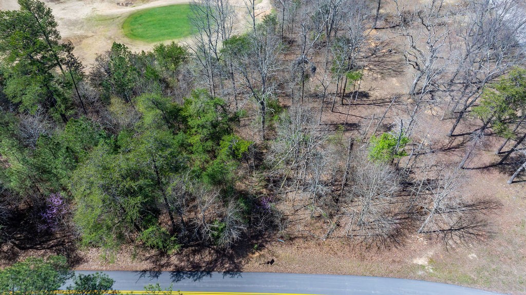 20598 Macedonia Church Road Dawson Springs, KY 42408 - Photo 12 of 25 a view of a yard with large trees