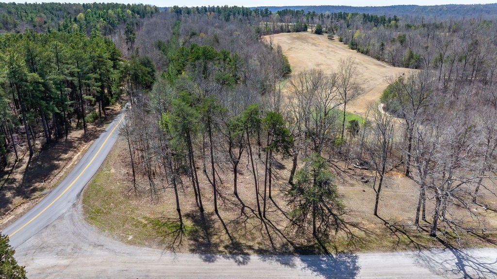 20598 Macedonia Church Road Dawson Springs, KY 42408 - Photo 19 of 25 a view of a yard with large trees