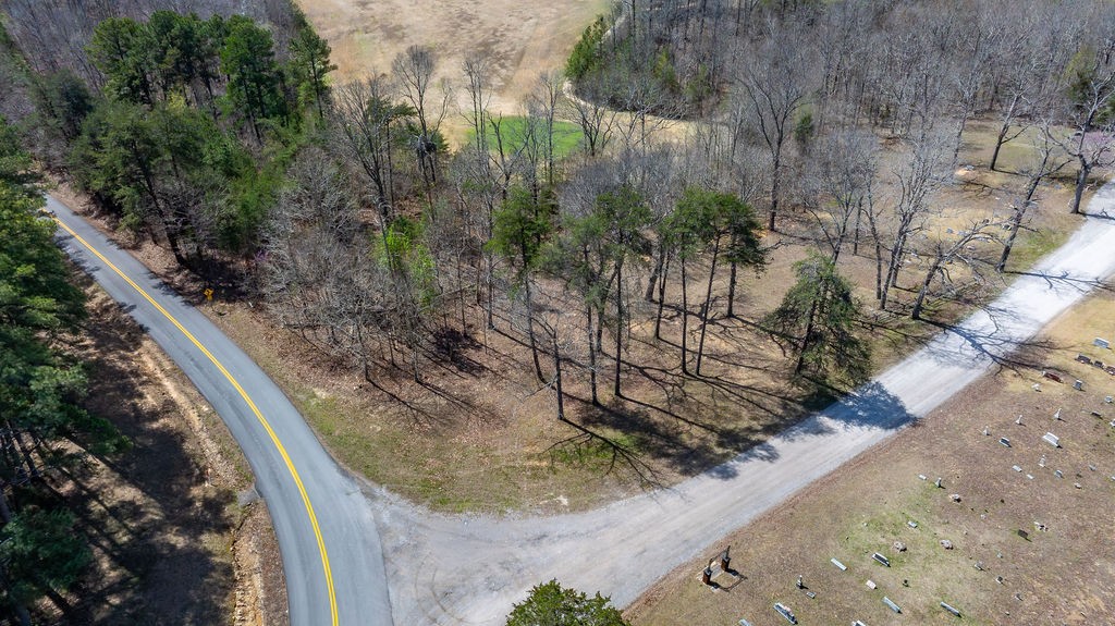 20598 Macedonia Church Road Dawson Springs, KY 42408 - Photo 20 of 25 a view of a yard with a tree