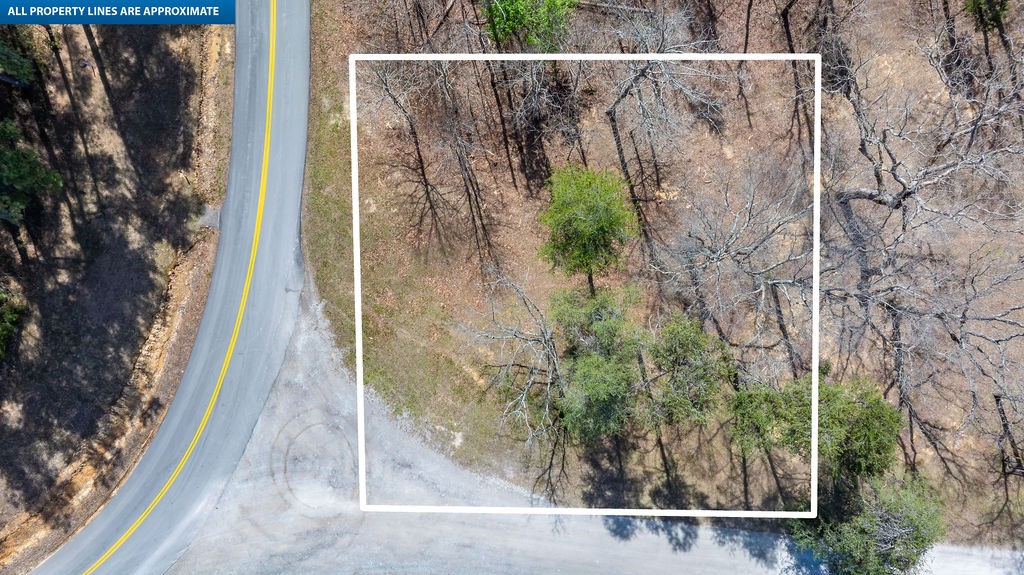 20598 Macedonia Church Road Dawson Springs, KY 42408 - Photo 3 of 25