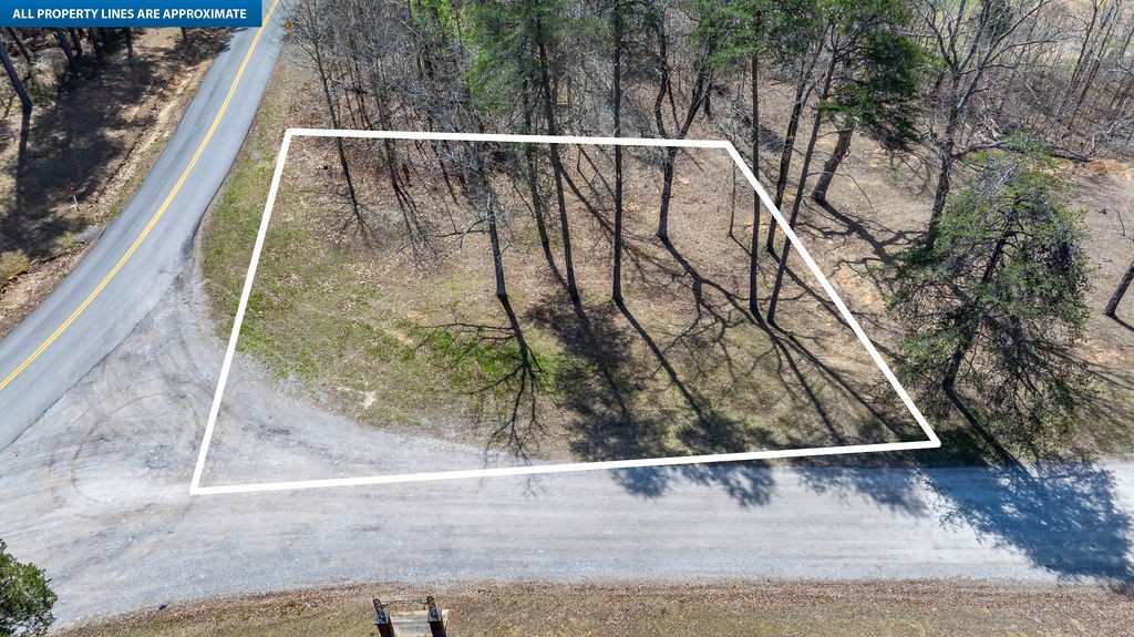 20598 Macedonia Church Road Dawson Springs, KY 42408 - Photo 6 of 25 a view of a yard