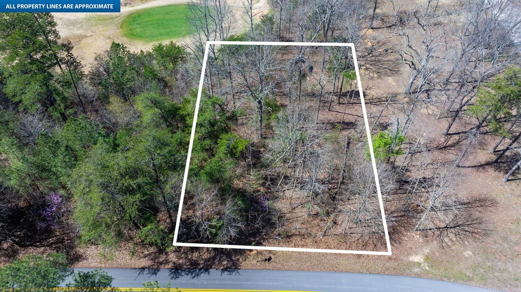 20598 Macedonia Church Road Dawson Springs, KY 42408 - Photo 10 of 25 a view of a forest