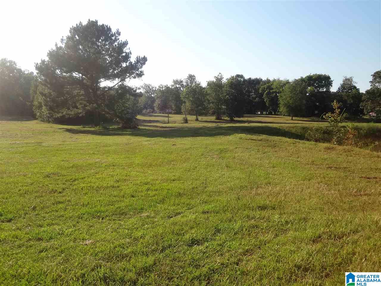 0 Highway 23, Unit 1 Springville, AL 35146 - Photo 4 of 10