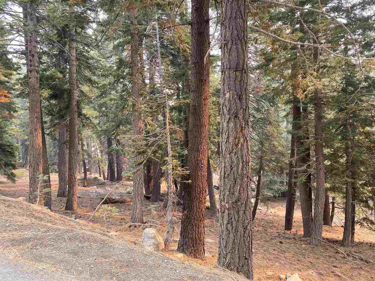 33 Hidden Valley Road Mammoth Lakes, CA 93546 - Photo 1 of 6 Gallery Image 1
