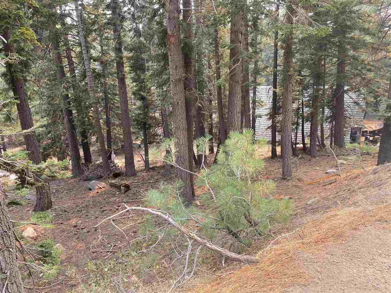 33 Hidden Valley Road Mammoth Lakes, CA 93546 - Photo 3 of 6 Gallery Image 3