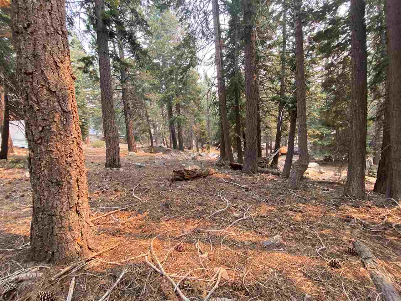 33 Hidden Valley Road Mammoth Lakes, CA 93546 - Photo 5 of 6 Gallery Image 5