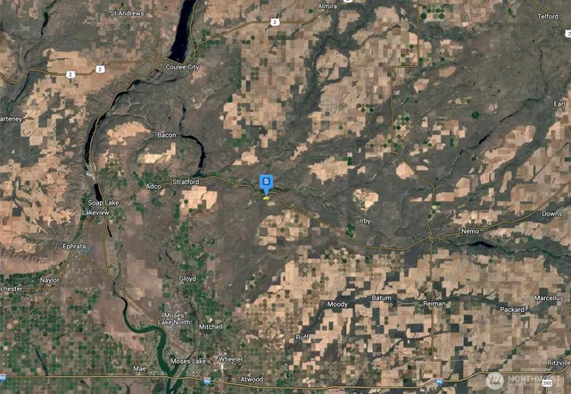 a view of a dry yard