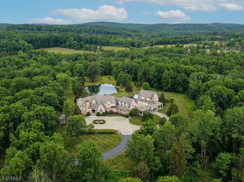 581 Pottersville Road Bedminster, NJ 07931 - Photo 49 of 50 aerial view of a house with a garden