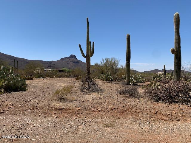 7089 West Ina Road, Unit 2 Tucson, AZ 85743 - Photo 3 of 12