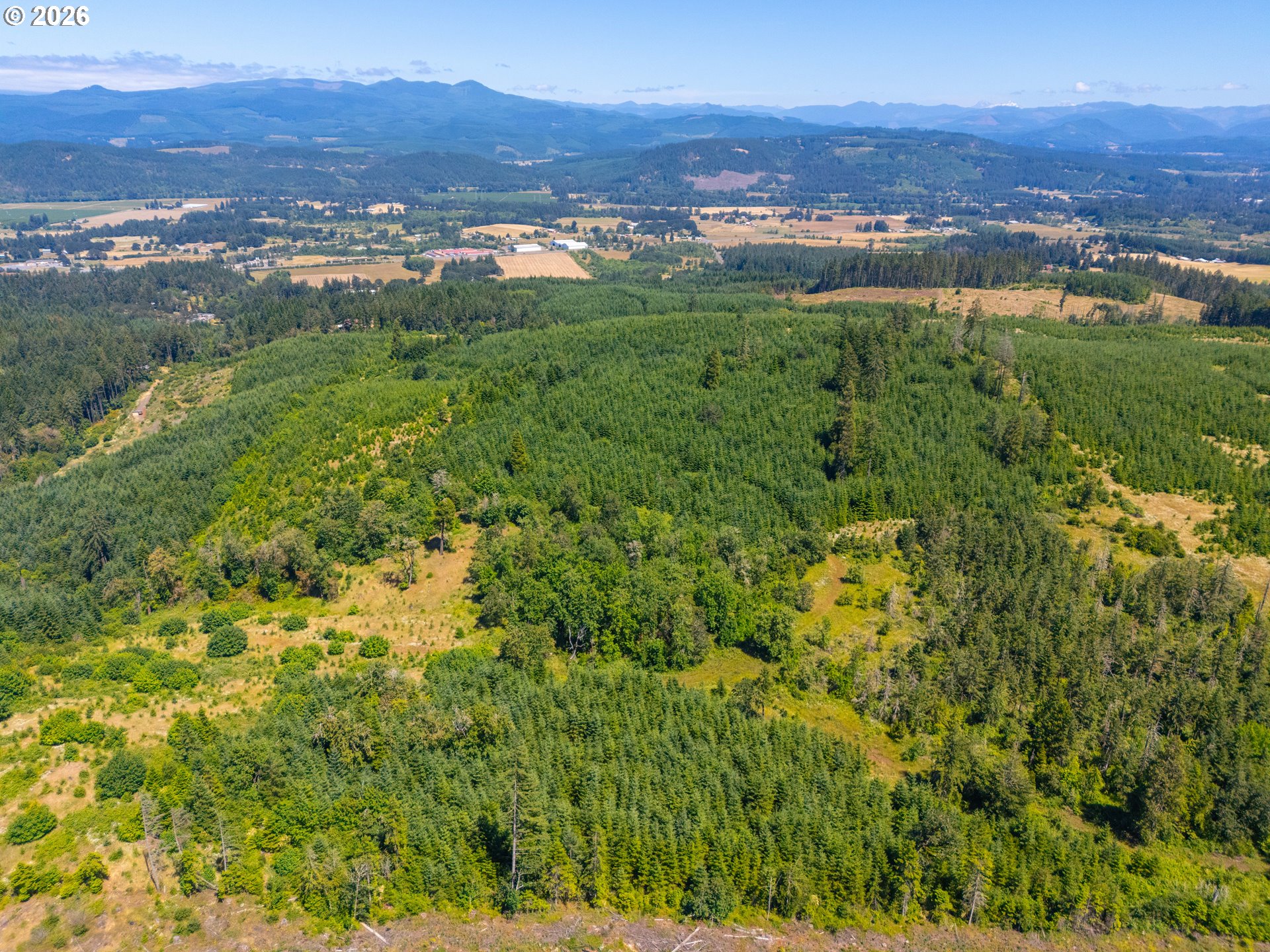29852 Ingram Road Lebanon, OR 97355 - Photo 9 of 17