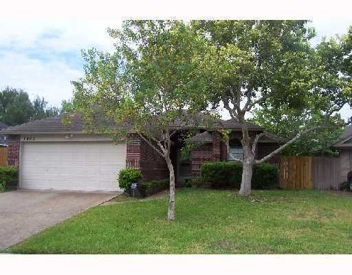 a backyard of a house with plants and large tree
