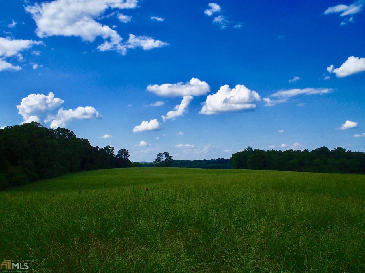 0 Stateline Bowdon, GA 30108 - Photo 1 of 1 Gallery Image 1