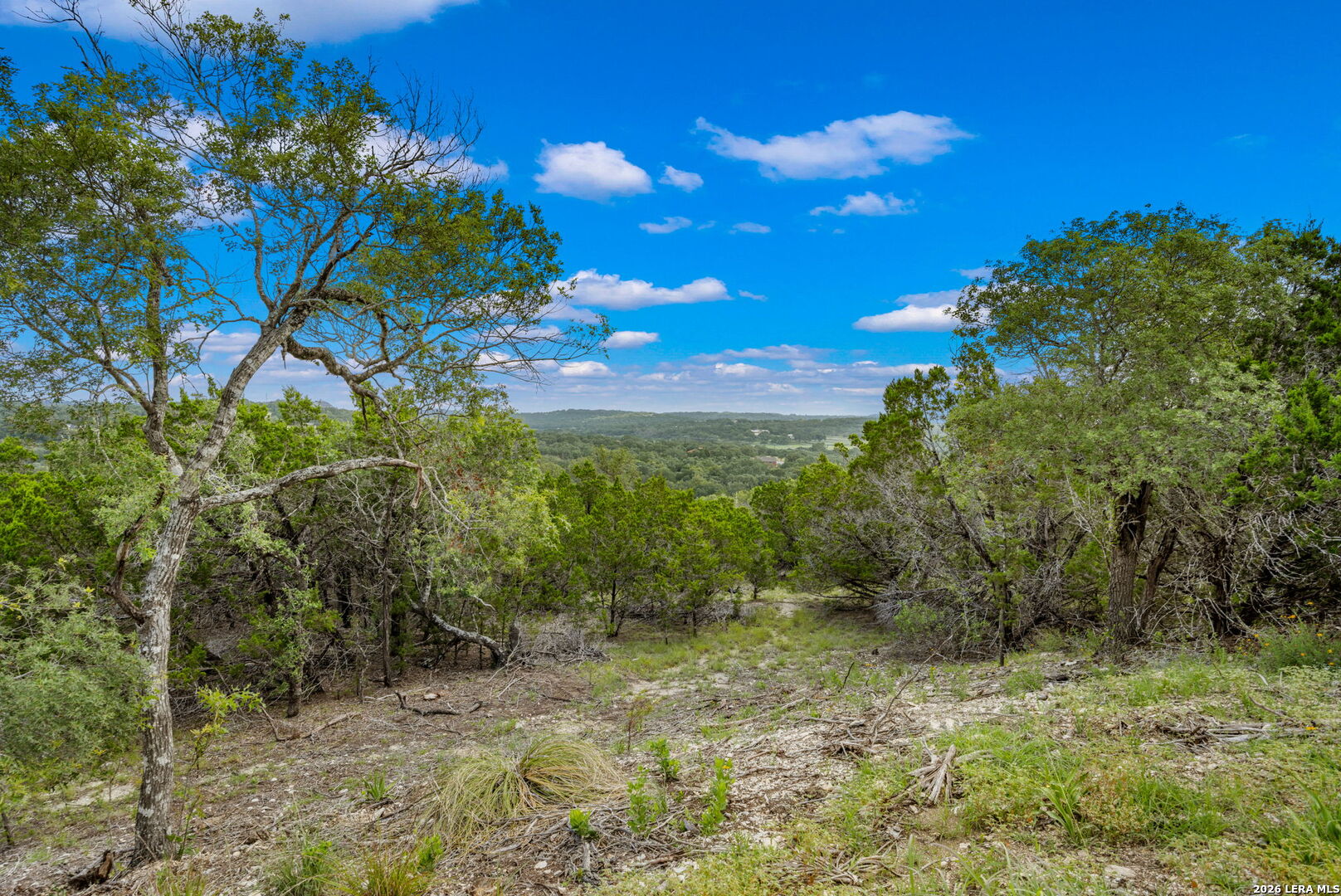 335 Shepherds Ranch Bulverde, TX 78163 - Photo 2 of 11
