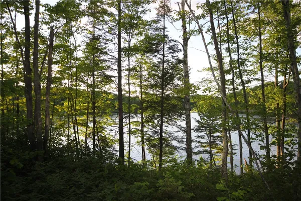 $59,000 | Lot 1 Timber Wolf Drive, Hayward, WI 54843
