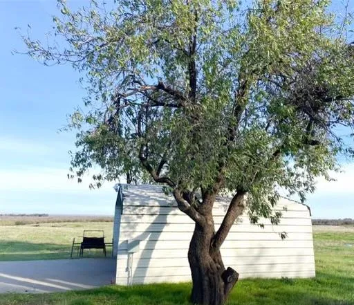 a swimming pool with outdoor seating and yard