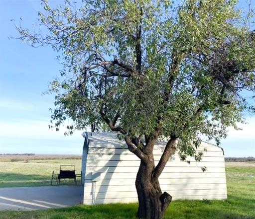 124 Wyer Road Arbuckle, CA 95912 - Photo 31 of 43 a view of a yard with an outdoor space