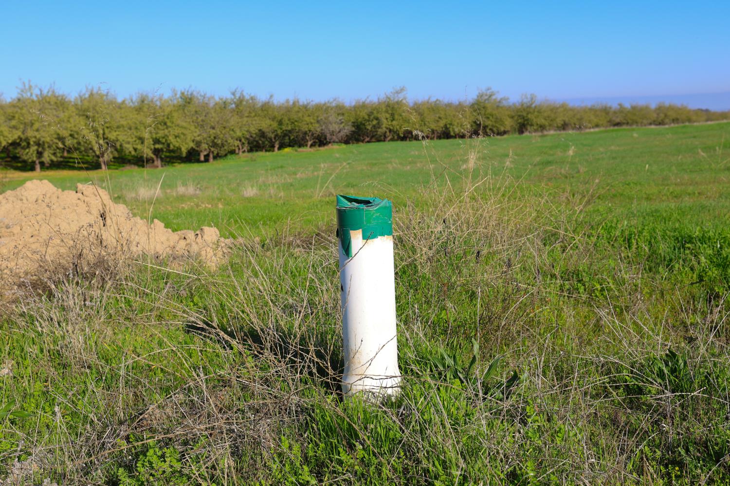 124 Wyer Road Arbuckle, CA 95912 - Photo 33 of 43 a lake view with a lake