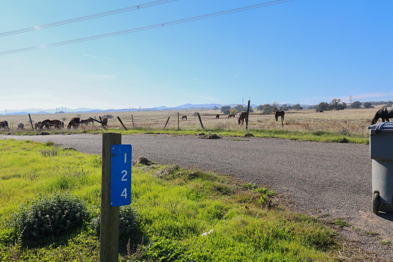 124 Wyer Road Arbuckle, CA 95912 - Photo 41 of 43 a view of a road with ocean view