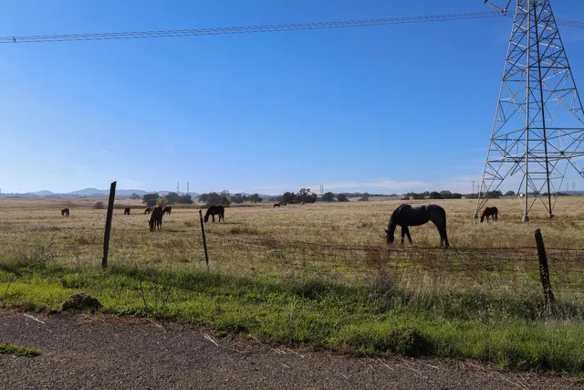 a view of a road with an ocean view