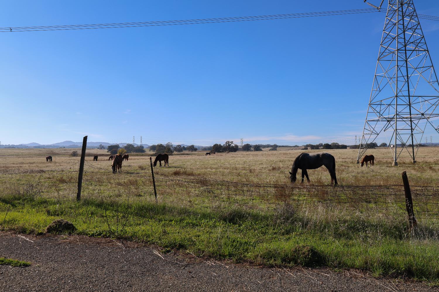 124 Wyer Road Arbuckle, CA 95912 - Photo 42 of 43 a view of lake view