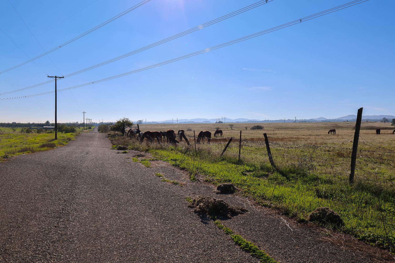 124 Wyer Road Arbuckle, CA 95912 - Photo 43 of 43 a view of a road with an ocean view