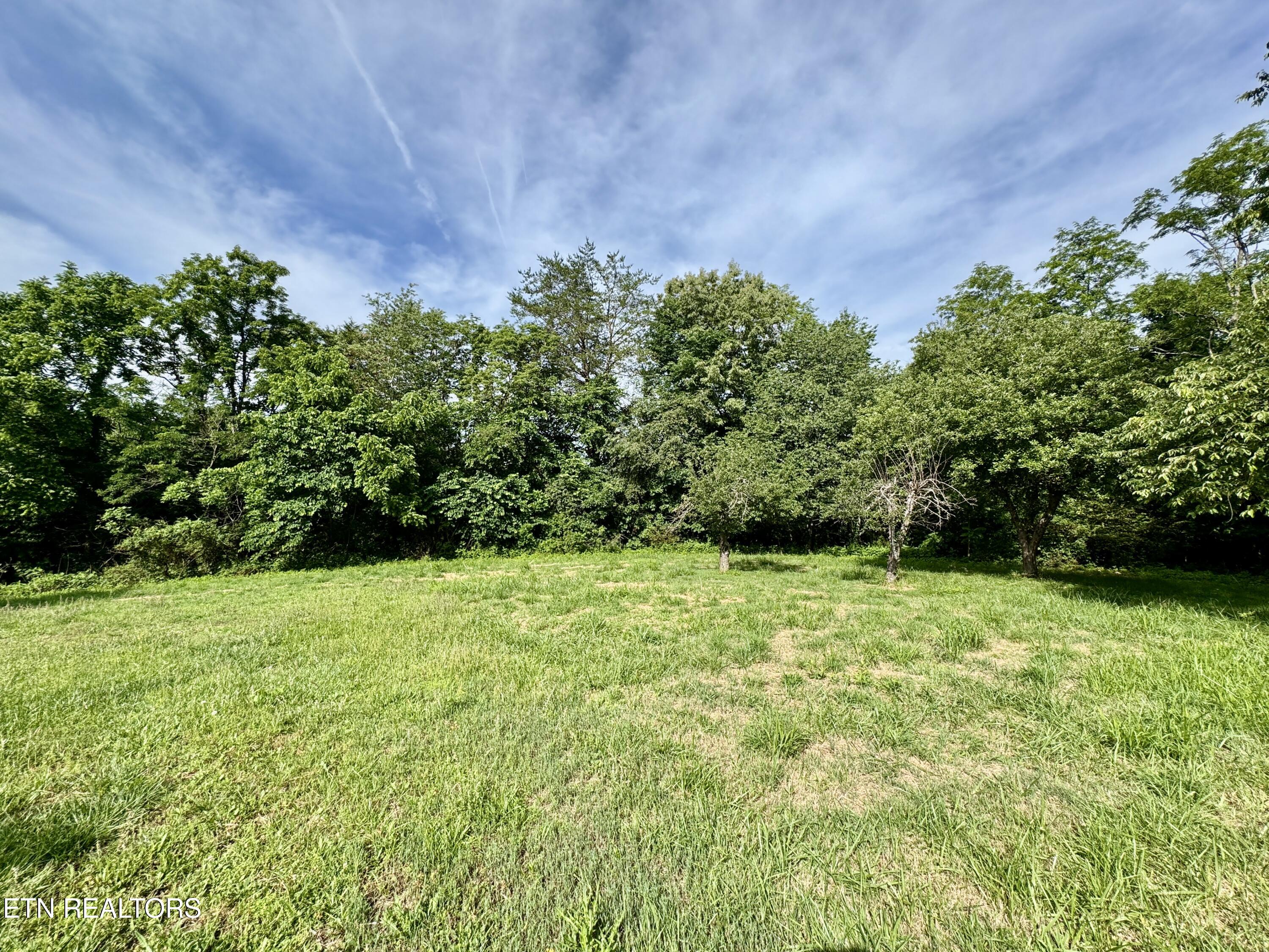 529 Peanut Road Parrottsville, TN 37843 - Photo 20 of 54 1-20