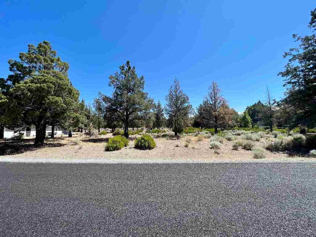 0 Sherwood Road Weed, CA 96094 - Photo 8 of 8 Gallery Image 8