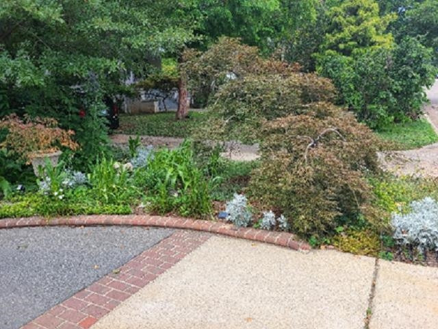 2113 Cowper Drive Raleigh, NC 27608 - Photo 42 of 48 Photo 42