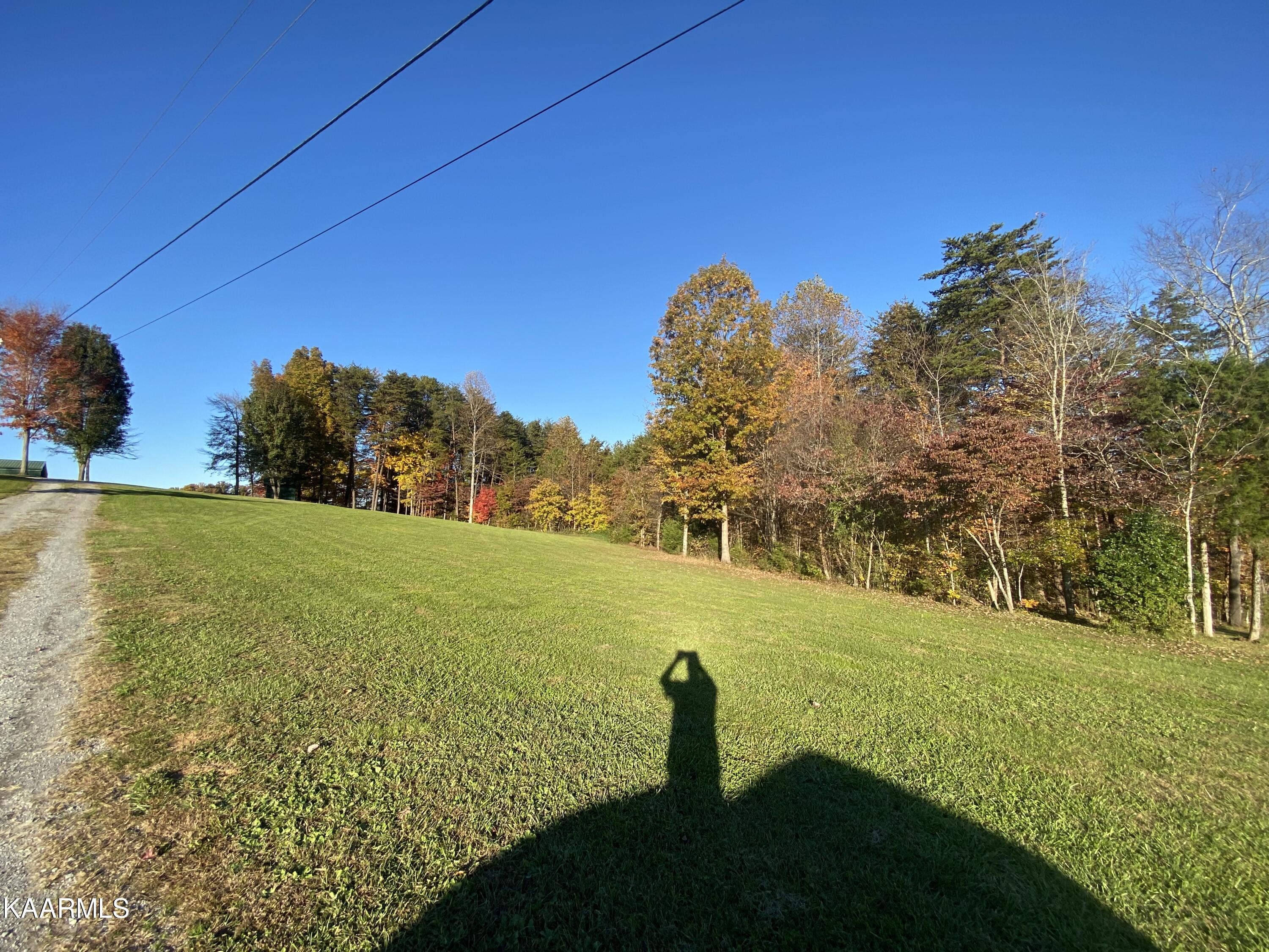 140 Dye Road Madisonville, TN 37354 - Photo 16 of 36 Across driveway wood line