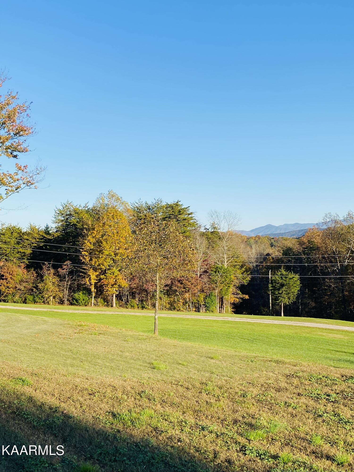 140 Dye Road Madisonville, TN 37354 - Photo 10 of 36 Left side yard and across driveway