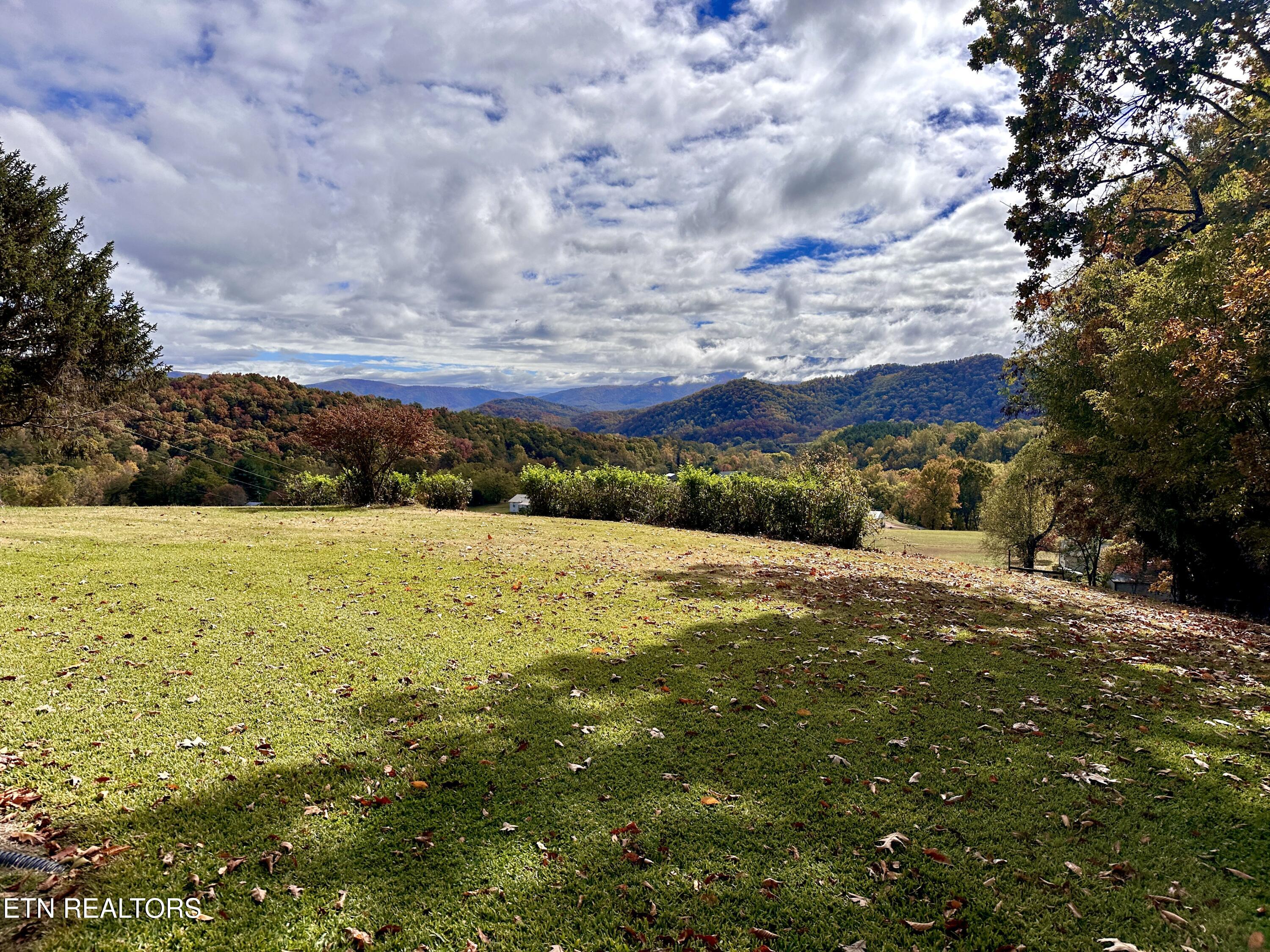 990 Roman Way Cosby, TN 37722 - Photo 12 of 26 12