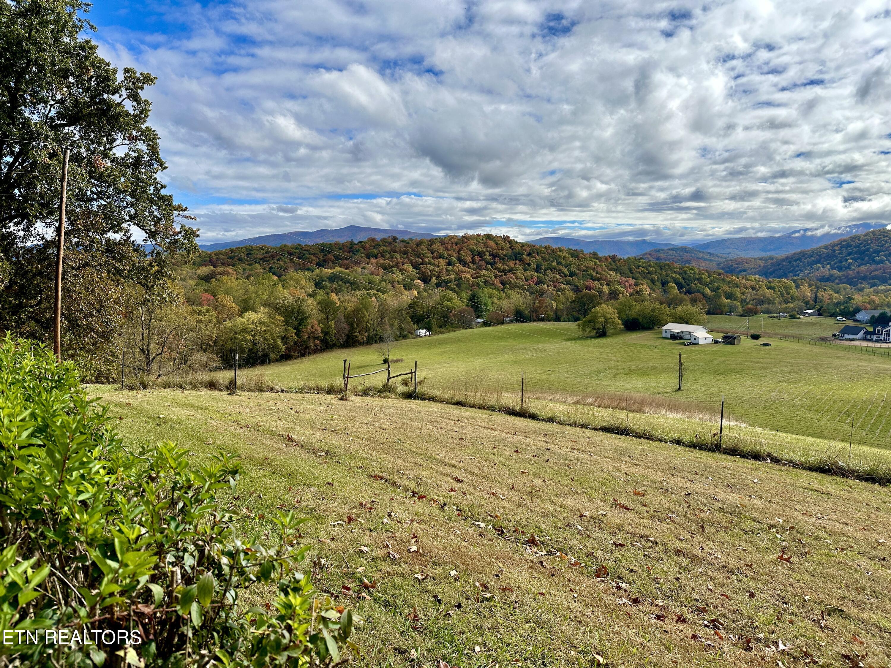 990 Roman Way Cosby, TN 37722 - Photo 13 of 26 13