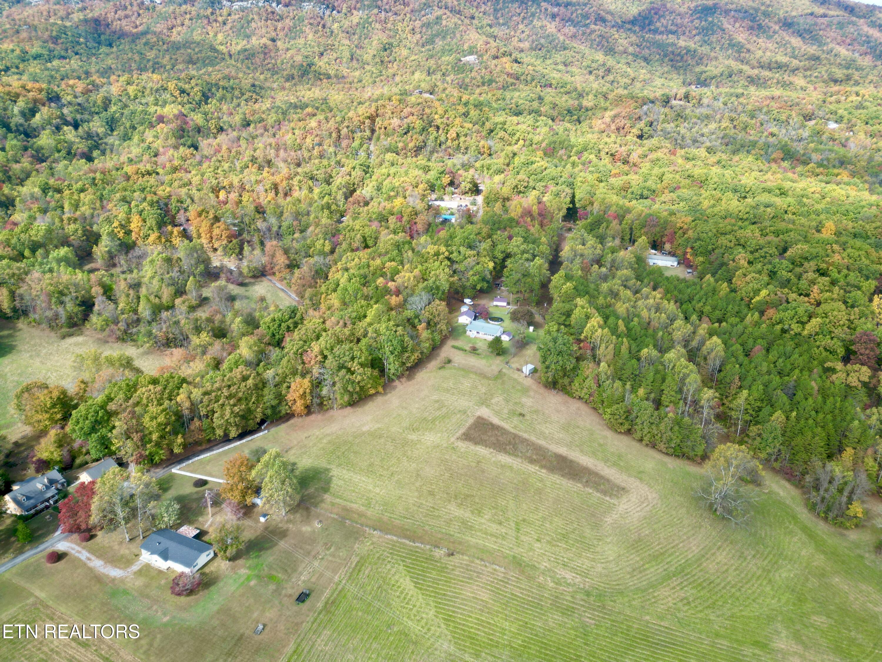 990 Roman Way Cosby, TN 37722 - Photo 2 of 26 2