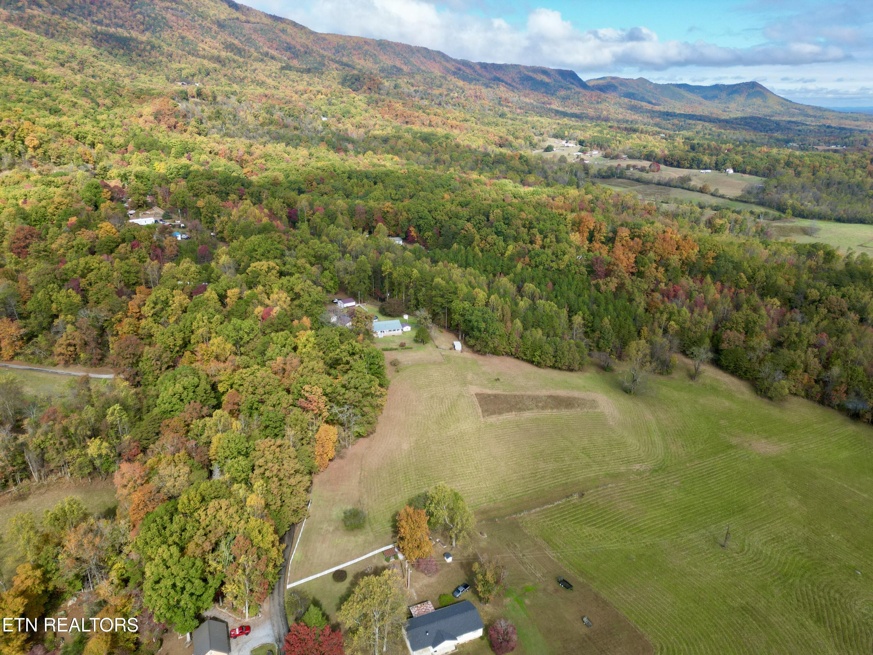 990 Roman Way Cosby, TN 37722 - Photo 3 of 26 3