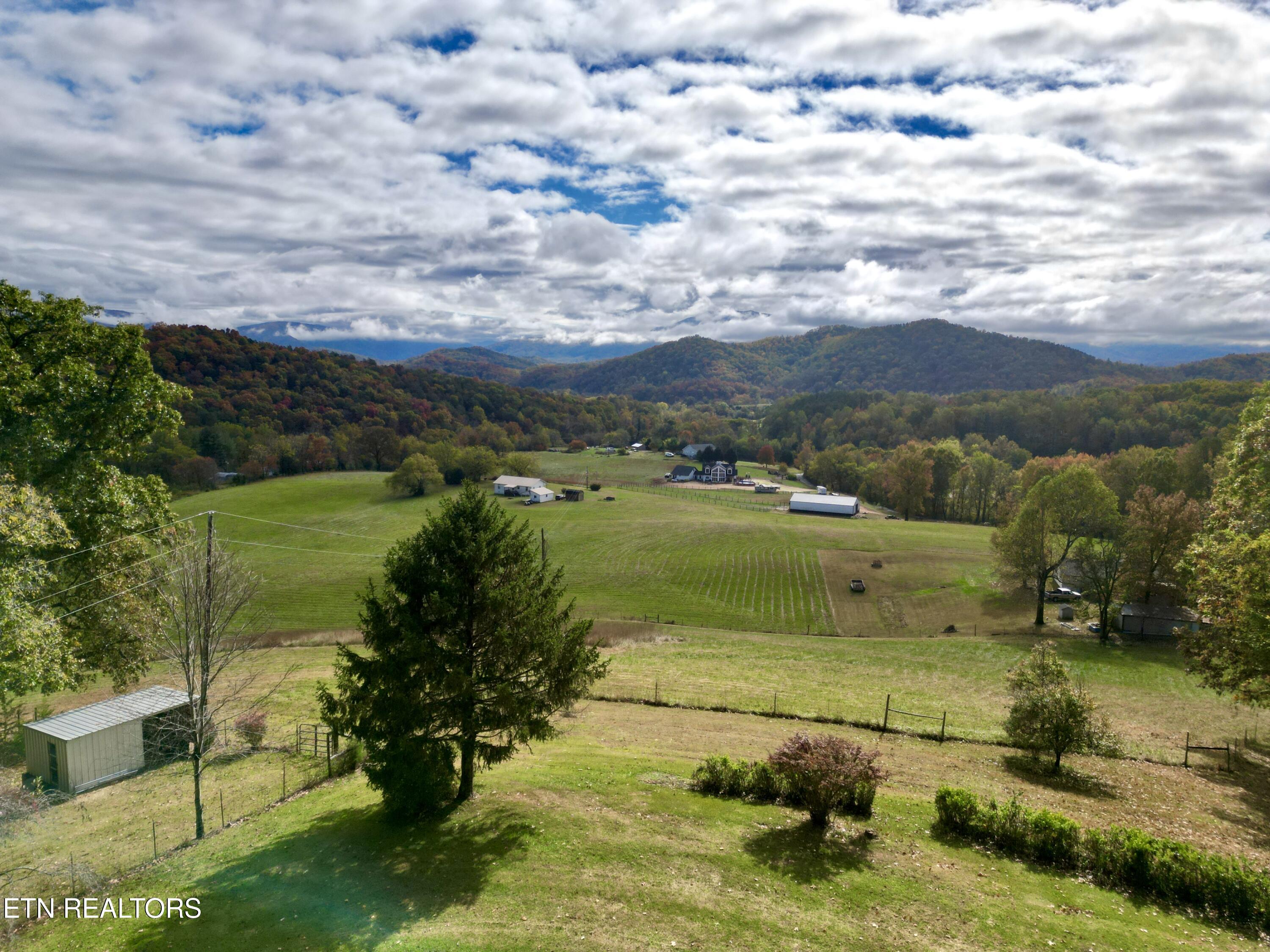 990 Roman Way Cosby, TN 37722 - Photo 4 of 26 4