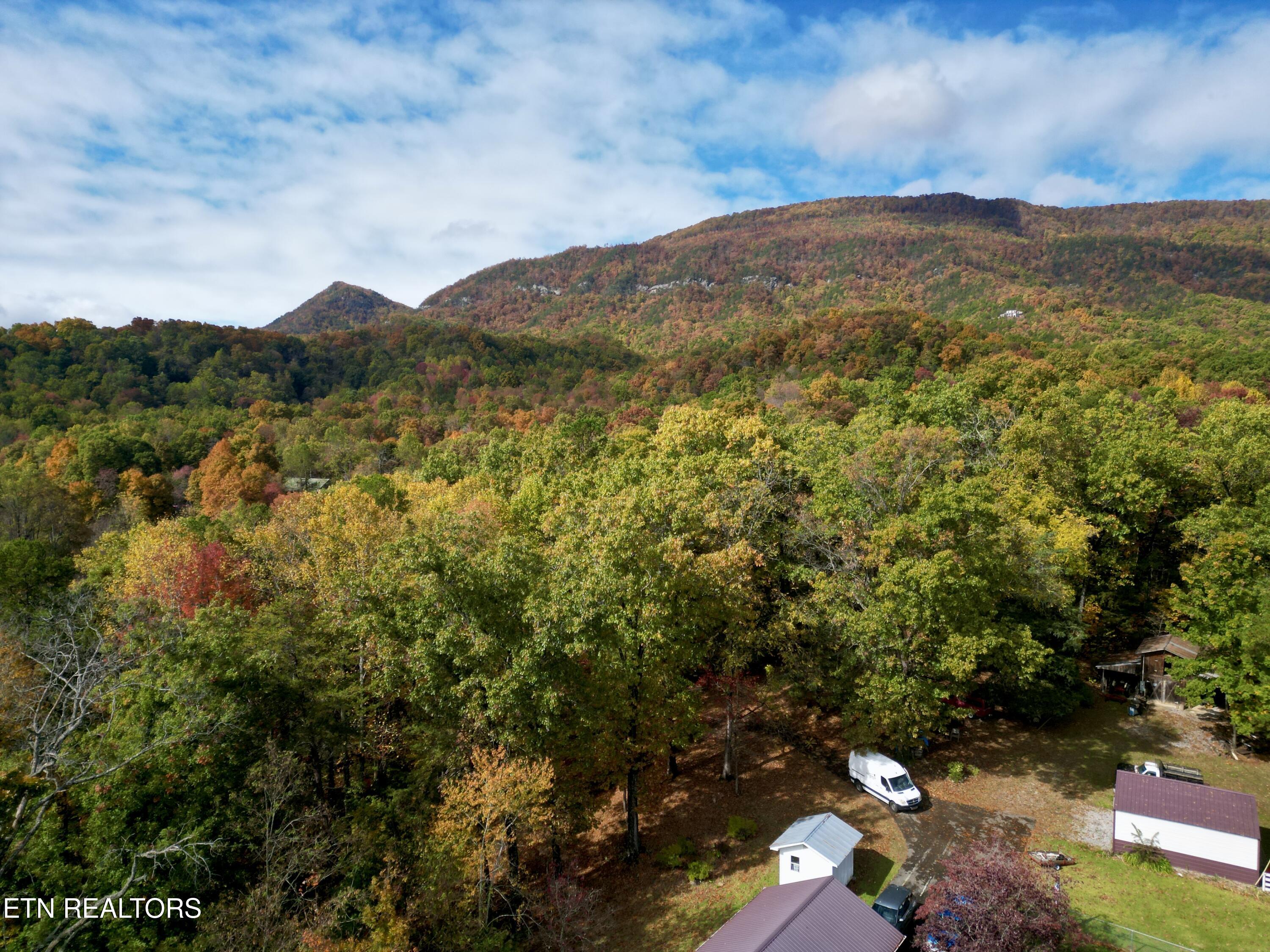 990 Roman Way Cosby, TN 37722 - Photo 6 of 26 6