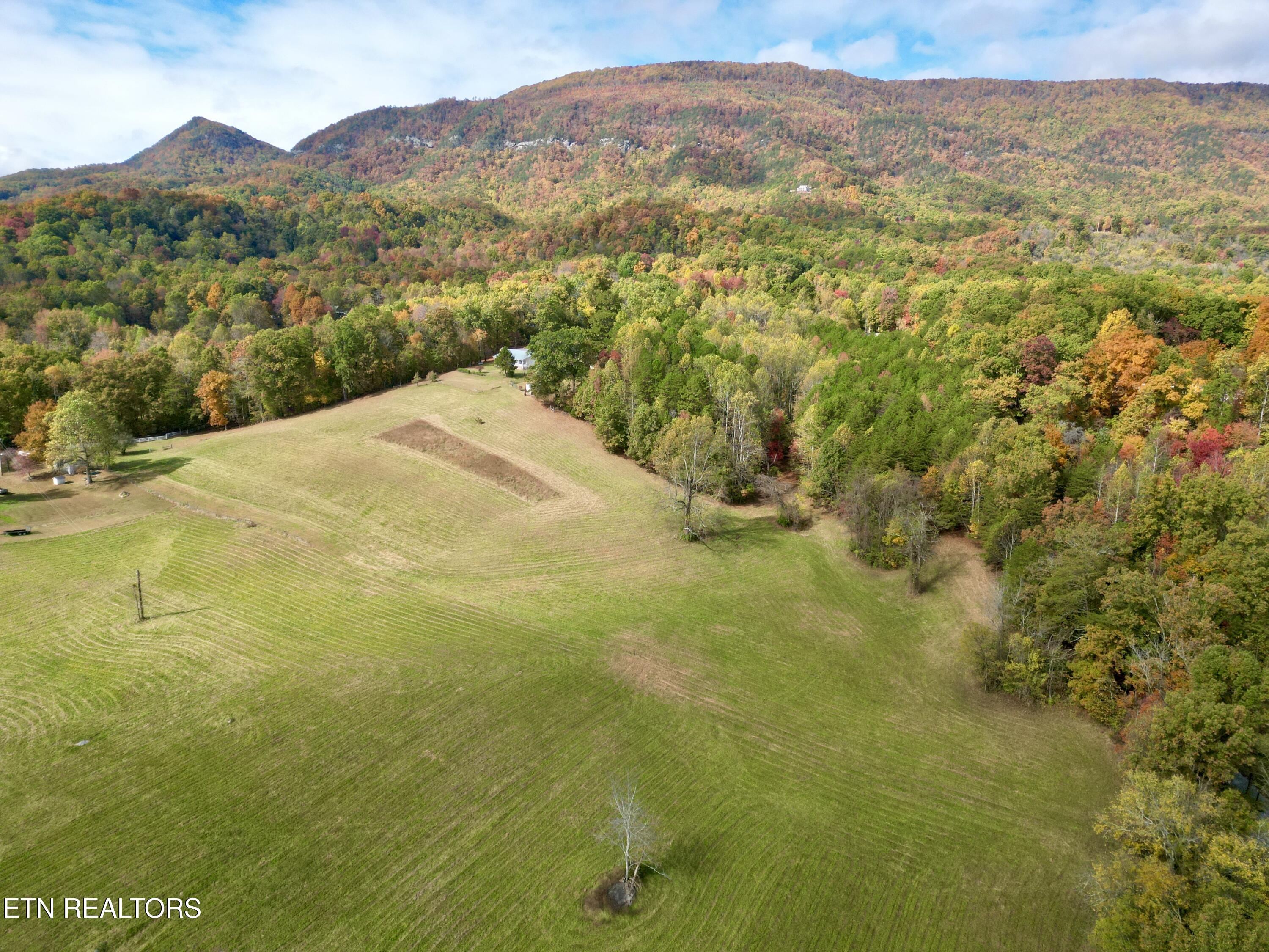 990 Roman Way Cosby, TN 37722 - Photo 7 of 26 7