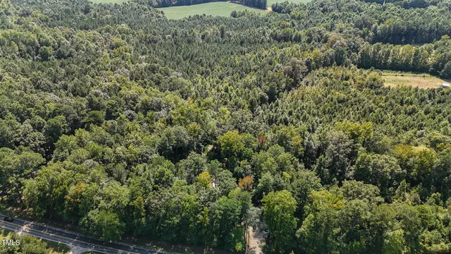 a view of a bunch of trees and bushes