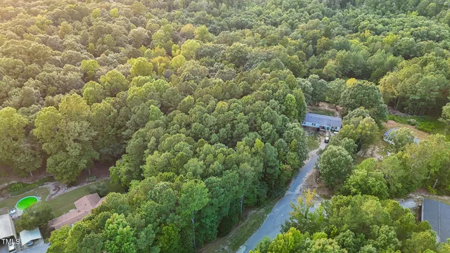 view of a city with lush green forest