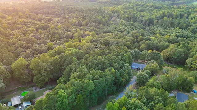 a view of a forest with a houses