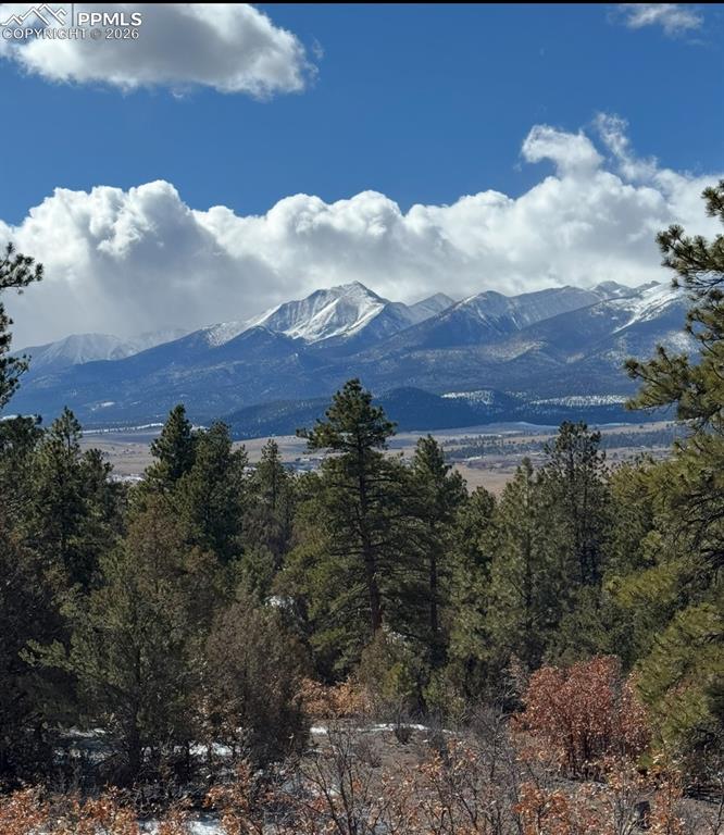 209 Rosewood Road Westcliffe, CO 81252 - Photo 3 of 49 Stunning views