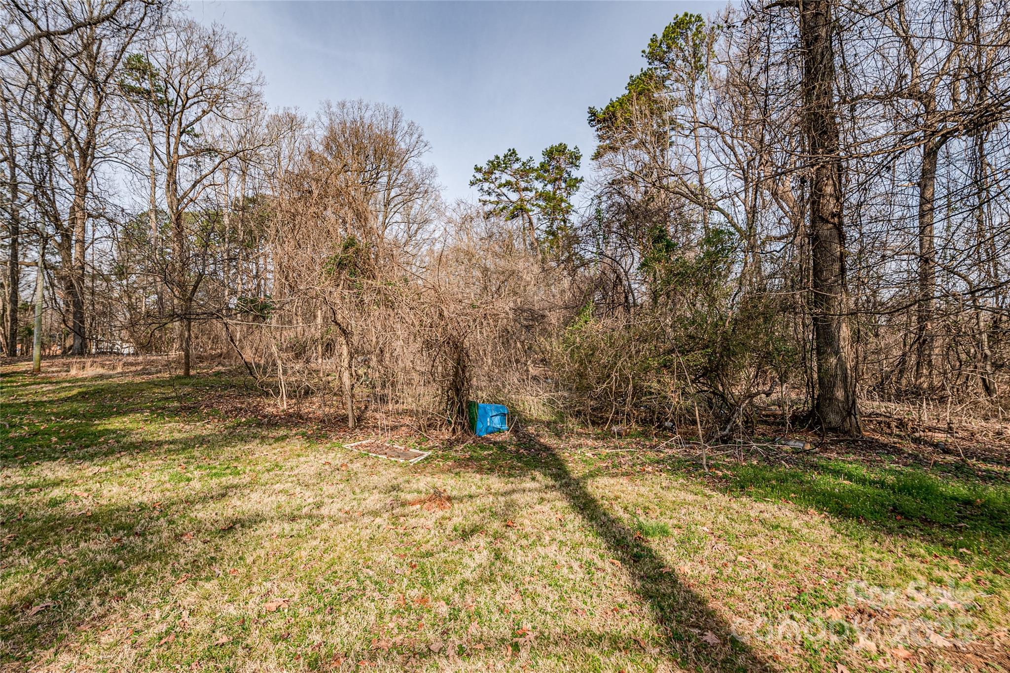 13216 Lawyers Road Mint Hill, NC 28227 - Photo 4 of 17 a view of outdoor space with trees